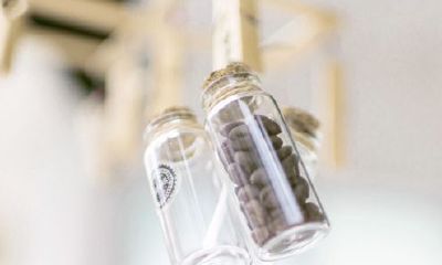 姓王女孩名字大全可爱的