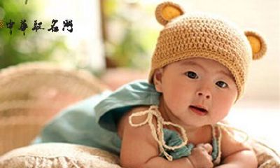 属猪宝宝取名字大全集