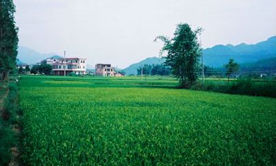 洋气的姓符女孩名字大全