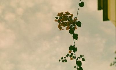 洋气的姓全女孩名字大全