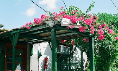 洋气的姓仇女孩名字大全