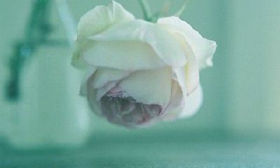 洋气的姓郎女孩名字大全