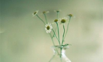 洋气的姓彭女孩名字大全