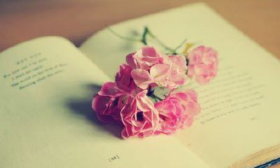 洋气的姓葛女孩名字大全