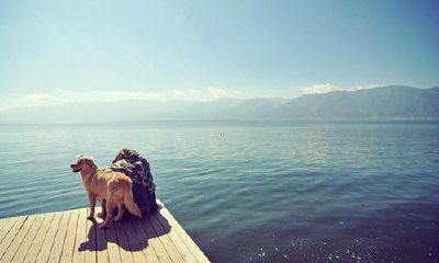 洋气的姓施女孩名字大全