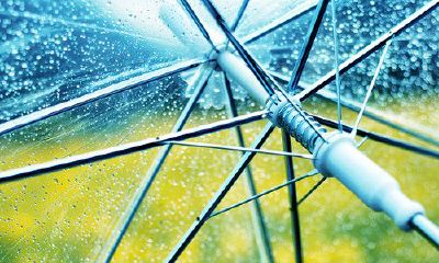 洋气的姓陶女孩名字大全