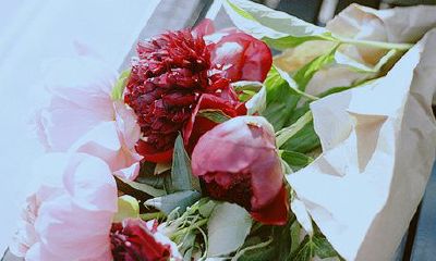 洋气的姓金女孩名字大全