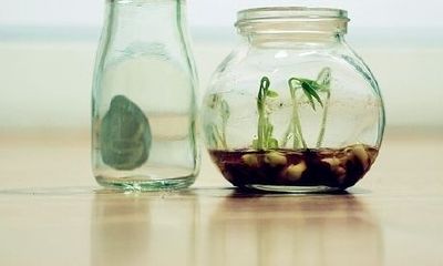 洋气的周姓女孩名字大全