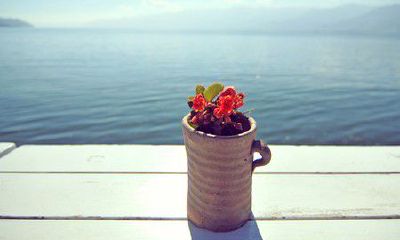 洋气的姓吕女孩名字大全