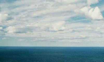 洋气的姓苏女孩名字大全