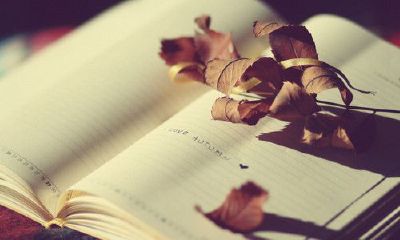 姓敖女孩两个字名字大全 敖姓2个字女宝宝起名