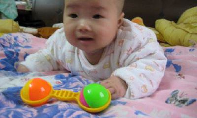 女孩乳名属鸡 好听