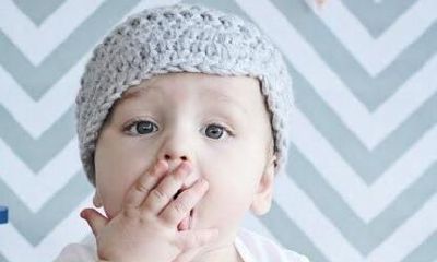 好听的姓郑的男孩名字