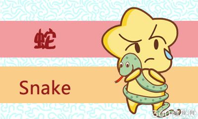 结婚后离婚可能性很高的生肖女