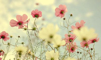 姓齐可爱的女孩名字大全