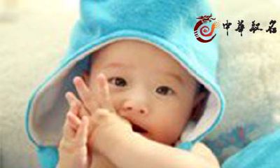 诗经取名男孩猪年宝宝