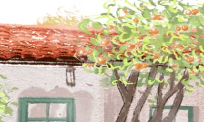 嘴边经常挂着总会瘦下来的生肖女