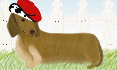 十二生肖中属狗的人命运如何?几点出生最好?