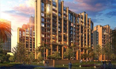 生肖与楼层风水:属狗的适合住几楼?