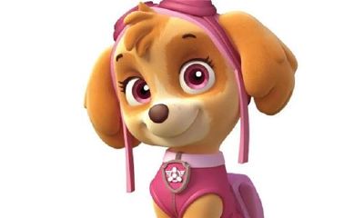 生肖狗的性格缺点有哪些