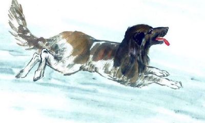 2019年处女座属狗的运势