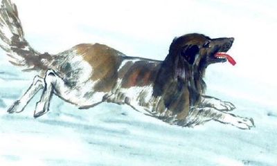 属狗的人和哪些生肖相冲