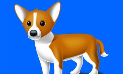 1982属狗的婚姻与命运