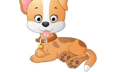 送什么礼物给属狗女人最为合适