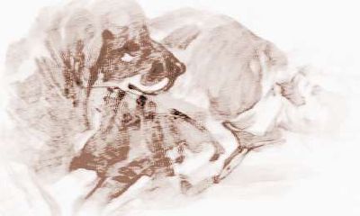 1946年属什么?1946年生人在2018年要注意的重点运势