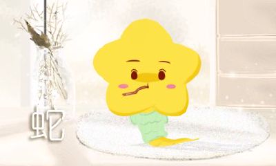 在工作的时候喜欢求同存异的生肖