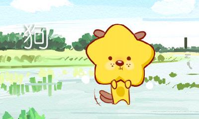 这些生肖有着高度运行的思维能力