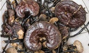 太岁水有用吗(太岁水怎么用效果好)