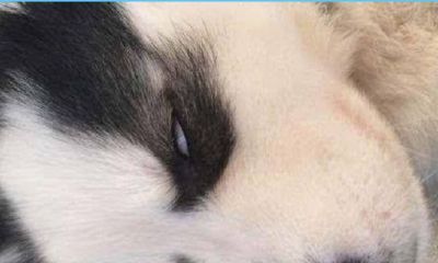 天天晚上做梦梦到一个人(晚上做梦经常梦到一个人)