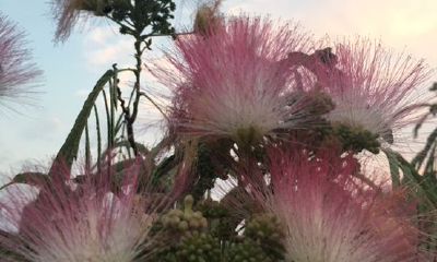 感情洁癖的心理测试(精神洁癖最严重的星座女)