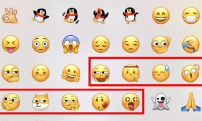 聊天中旺财是什么意思(两个旺财是什么意思)