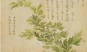 戊土走甲申大运(甲木走什么大运好)