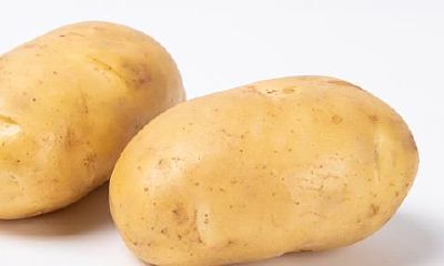 周公解梦梦见很多土豆我捡起来就是烂的(周公解梦梦见捡土豆)