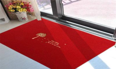 房门口地垫风水(房子风水主要看什么)