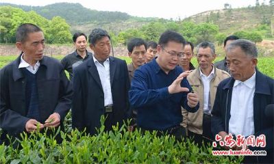 开运茶研所的茶(双鱼座3月17日运势2023)