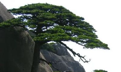 正南门的风水方位(大门朝南方向风水吉凶图)