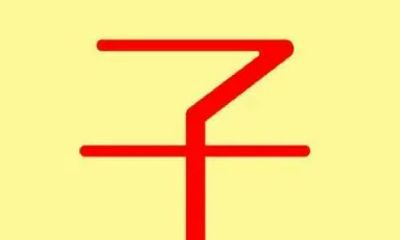 子是属于五行属什么(生辰八字五行取名免费)