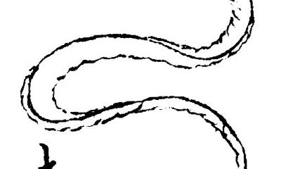 周公解梦梦见打死一条蛇(梦见打死一条大蛇是什么意思)