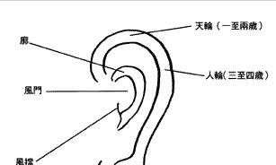 耳朵曲折面相(面相男人耳垂上有折痕)