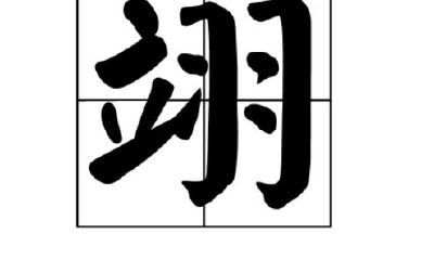 翊字五行属什么寓意(翊字取名什么寓意)