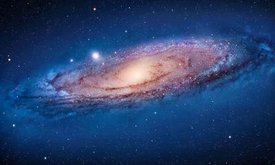 梦到左脚被蛇咬住不放(梦见蛇咬住脚不放是什么意思)