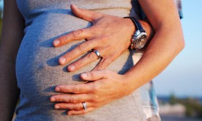 孕妇梦到很多蛇是怎么回事(孕妇梦到大蟒蛇预示着什么)