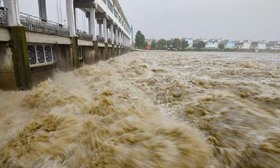 做梦梦到家里来了好多绿蛇(梦见发洪水什么预兆)