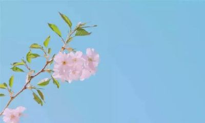 一直梦到自己怀孕是怎么回事(梦到自己有男朋友了是什么意思)