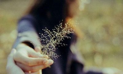 新公司取名字大全两个字(公司取名字大全免费查询)