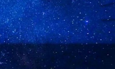 梦到黑蛇预示着什么周公解梦(梦见很多黑蛇是什么意思)